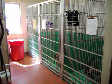 AHC Kennels