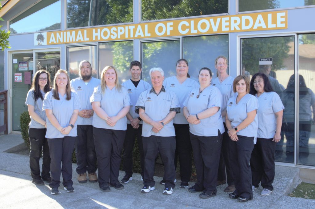 Animal Hospital of Cloverdale – Loving and Quality Care for your Pets